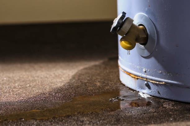 Best Local water damage restoration  in Refugio, TX