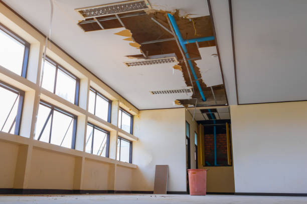 Best Carpet water damage restoration  in Refugio, TX