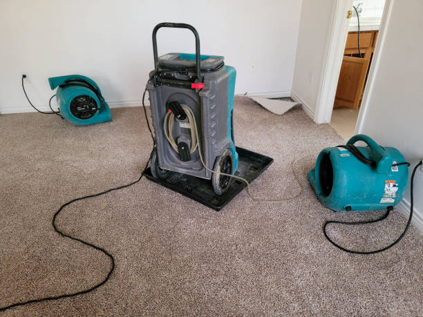 Best Water damage restoration insurance claims  in Refugio, TX