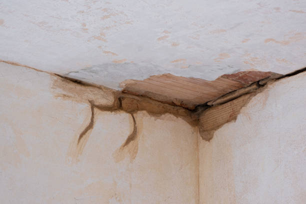 Best Water damage restoration near me  in Refugio, TX